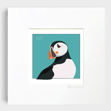 Irish Seabird: Puffin - Puifín Art Print