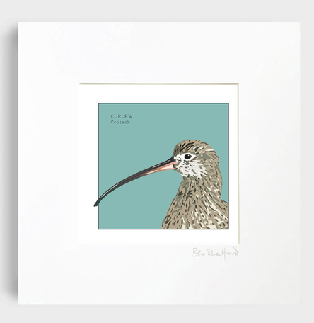 Irish Seabird: Curlew - Crotach Art Print