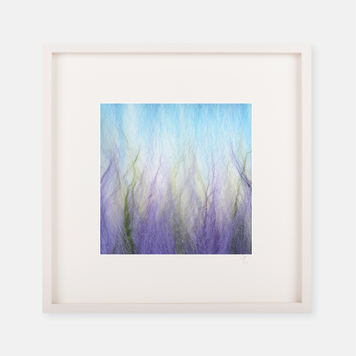 ‘Lavender’ - Silk Print Collection